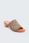Dolce Vita Kaira Leopard Heel Block Heel slide